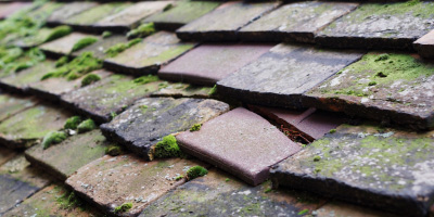 Great Warley roof repair costs